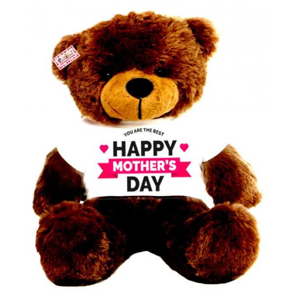 2 feet big brown teddy bear wearing YOU ARE THE BEST Happy Mothers Day T-shirt